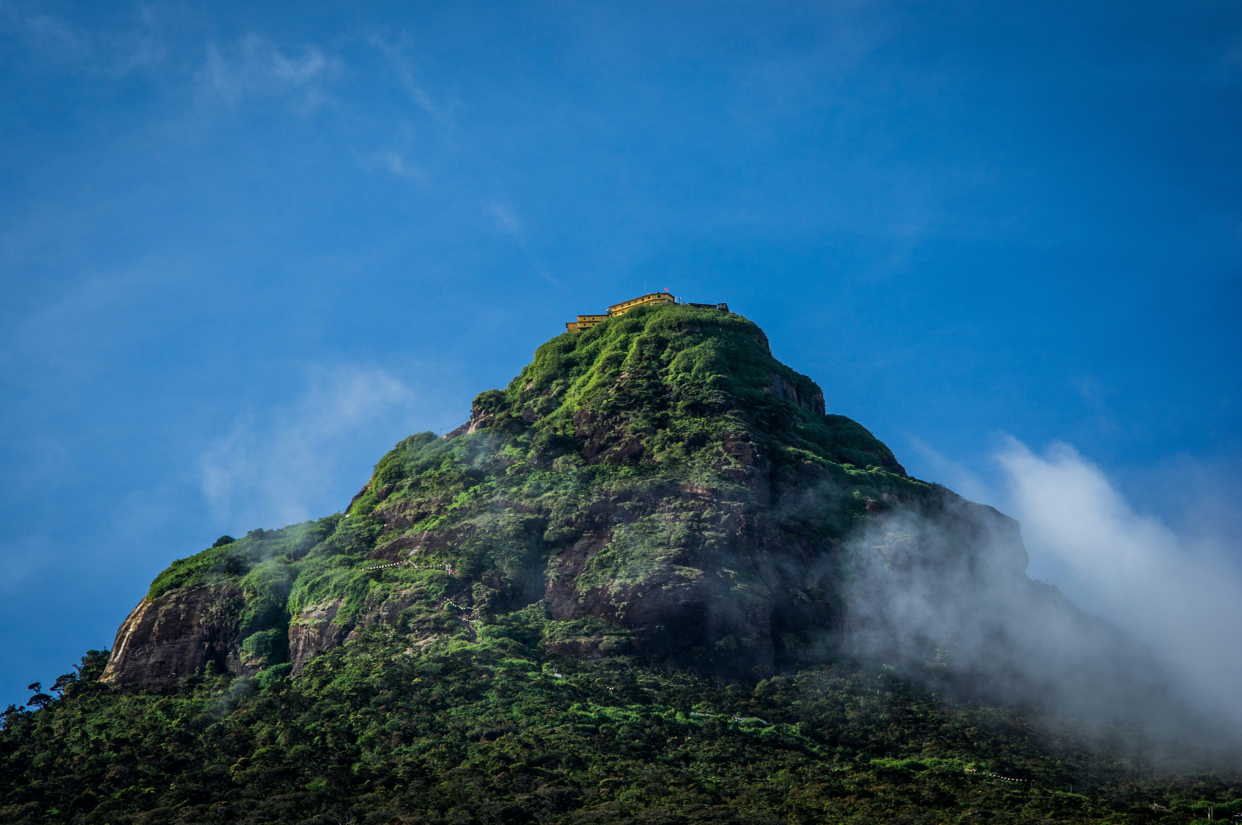 4-Day Adam's Peak Excursion  & Tea Experience with  Accommodation