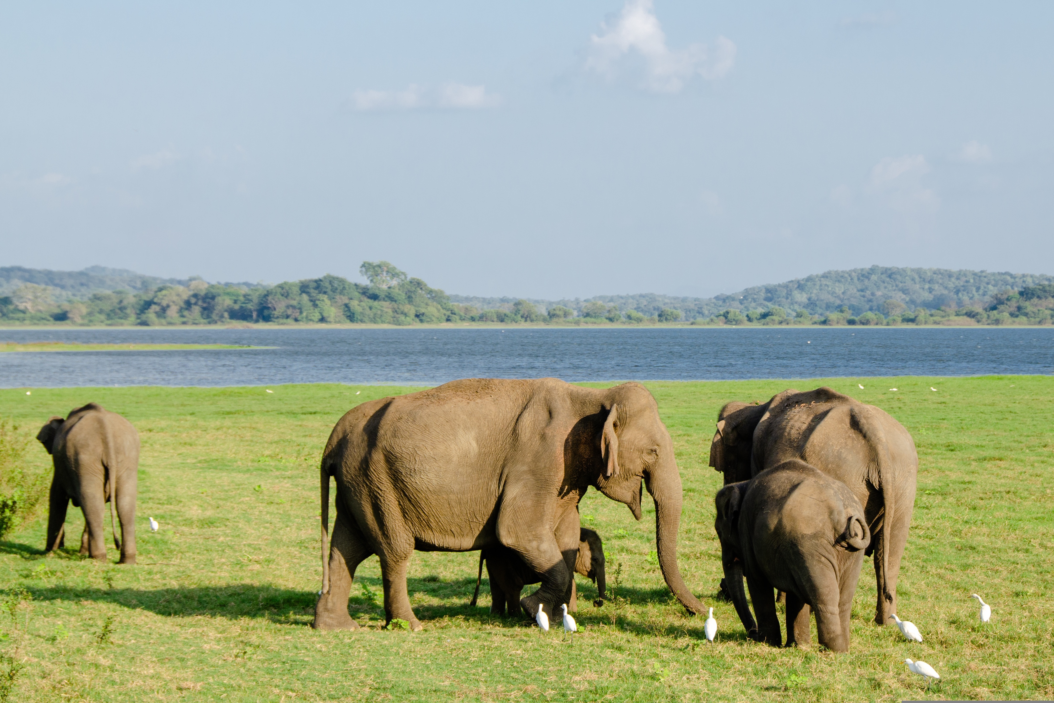 7-Day Wildlife Safari and Eco Tour with Accommodation